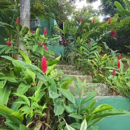 LahSelva Pousada e Hostel-3